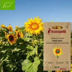 Association Kokopelli - Graines bio à semer - tournesol à fleurs irish eyes Clearance