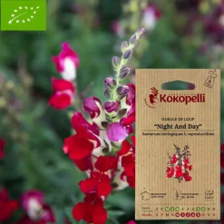 Association Kokopelli Graines De Fleurs | - Graines bio à semer - gueule de loup night and day