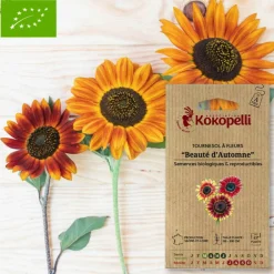 Association Kokopelli Graines De Fleurs | - Graines bio à semer - tournesol à fleurs beauté d'automne