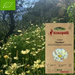 Association Kokopelli Graines De Fleurs | - Graines bio à semer - cosmos jaune xanthos