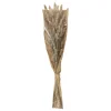 Atmosphera - Bouquet de fleurs séchées queue de lapin ivoire d. 18 x h. 58 cm Clearance