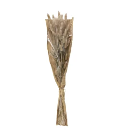 Atmosphera - Bouquet de fleurs séchées queue de lapin ivoire d. 18 x h. 58 cm Clearance