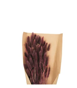 Atmosphera Bouquets De Fleurs | - Bouquet de fleurs séchées queue de lapin violet d. 18 x h. 58 cm