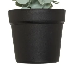 Atmosphera Createur D'interieur - Eucalyptus artificiel en pot 
