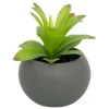 Atmosphera Createur D'interieur - Plante grasse en pot h13 Outlet
