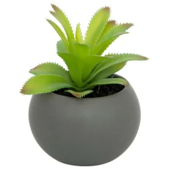 Atmosphera Createur D'interieur - Plante grasse en pot h13 Outlet