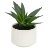 Atmosphera Createur D'interieur - Plante grasse en pot h13 Clearance