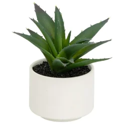 Atmosphera Createur D'interieur - Plante grasse en pot h13 Clearance