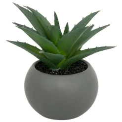 Atmosphera Createur D'interieur - Plante grasse en pot h13 Clearance