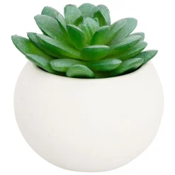 Atmosphera Createur D'interieur - Plante grasse en pot h13 Hot