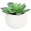Atmosphera Createur D'interieur - Plante grasse en pot h13 Best