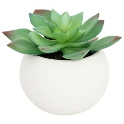 Atmosphera Createur D'interieur - Plante grasse en pot h13 Best