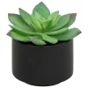 Atmosphera Createur D'interieur Fleurs Et Plantes Artificielles | - Plante grasse en pot h13
