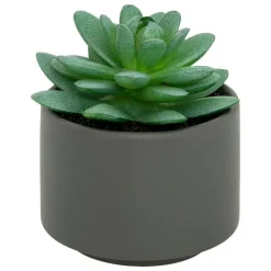 Atmosphera Createur D'interieur Fleurs Et Plantes Artificielles | - Plante grasse en pot h13