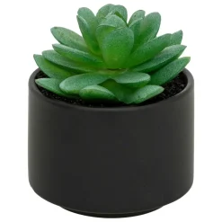 Atmosphera Createur D'interieur Fleurs Et Plantes Artificielles | - Plante grasse en pot h13
