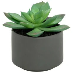 Atmosphera Createur D'interieur Fleurs Et Plantes Artificielles | - Plante grasse en pot h13