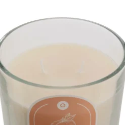 Atmosphera Createur D'interieur - Bougie parfumée " floa" pêche 350g Best