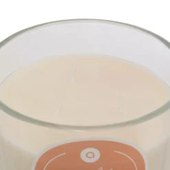 Atmosphera Createur D'interieur - Bougie parfumée " floa" pêche 610g New