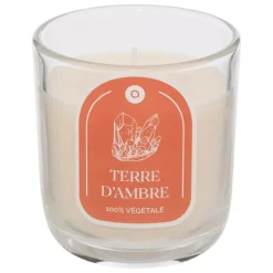 Atmosphera Createur D'interieur Bougies, Senteurs Et Bien-Être | - Bougie parfumée " floa" ambre 210g