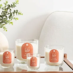 Atmosphera Createur D'interieur Bougies, Senteurs Et Bien-Être | - Bougie parfumée 