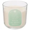 Atmosphera Createur D'interieur Bougies, Senteurs Et Bien-Être | - Bougie parfumée " floa" monoï 610g