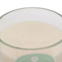 Atmosphera Createur D'interieur Bougies, Senteurs Et Bien-Être | - Bougie parfumée " floa" monoï 610g