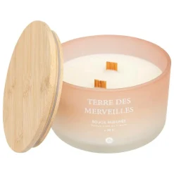 Atmosphera Createur D'interieur Bougies, Senteurs Et Bien-Être | - Bougie parfumée "terre des merveilles" pétales de musc 420g