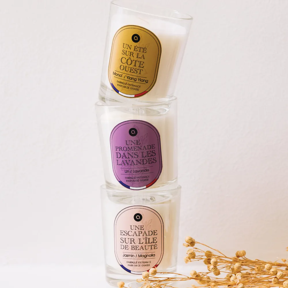 Atmosphera Createur D'interieur Bougies, Senteurs Et Bien-Être | - Diffuseur de parfum "terre des merveilles" 150ml