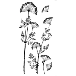 Atmosphera Createur D'interieur - Sticker "mind" - noir et blanc - 80x170 cm Outlet