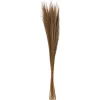 Atmosphera Createur D'interieur - Herbes séchées "ori" - h110 cm New