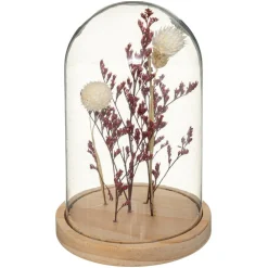 Atmosphera Createur D'interieur - Fleurs séchées sous cloche "gypsy" h17 cm Discount