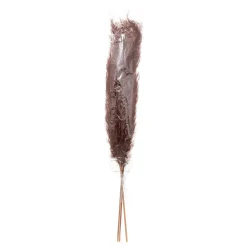 Atmosphera Createur D'interieur Bouquets De Fleurs | - Set de 3 fleurs séchées "pampa naturelle" - h110 cm