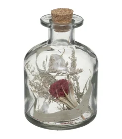 Atmosphera Terrariums Et Compositions | - Fleurs séchées dans bouteille en verre d 8 x h 11 cm