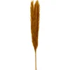 Atmosphera - Set de 3 branches de pampa séchée ocre h 109 cm Sale