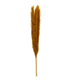 Atmosphera - Set de 3 branches de pampa séchée ocre h 109 cm Sale