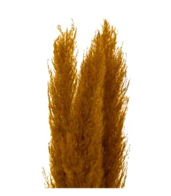 Atmosphera - Set de 3 branches de pampa séchée ocre h 109 cm Sale