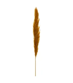 Atmosphera - Set de 3 branches de pampa séchée ocre h 109 cm Sale
