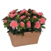 NA Fleurs Et Plantes Artificielles | Azalea artificiel pêche, en jardinière L.29 x 13 x H.27 cm
