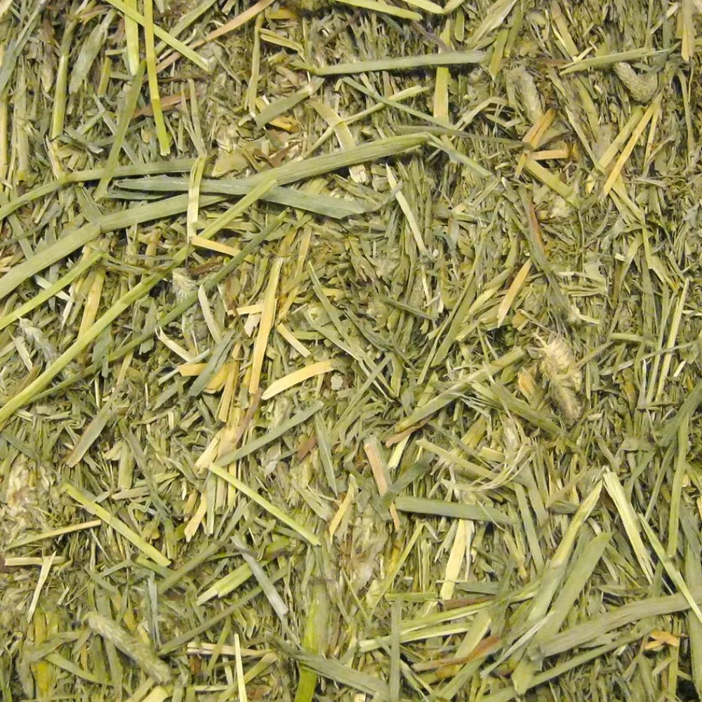 Beaphar - Aliment rongeurs - foin thimoty phléoe - 1 kg Discount