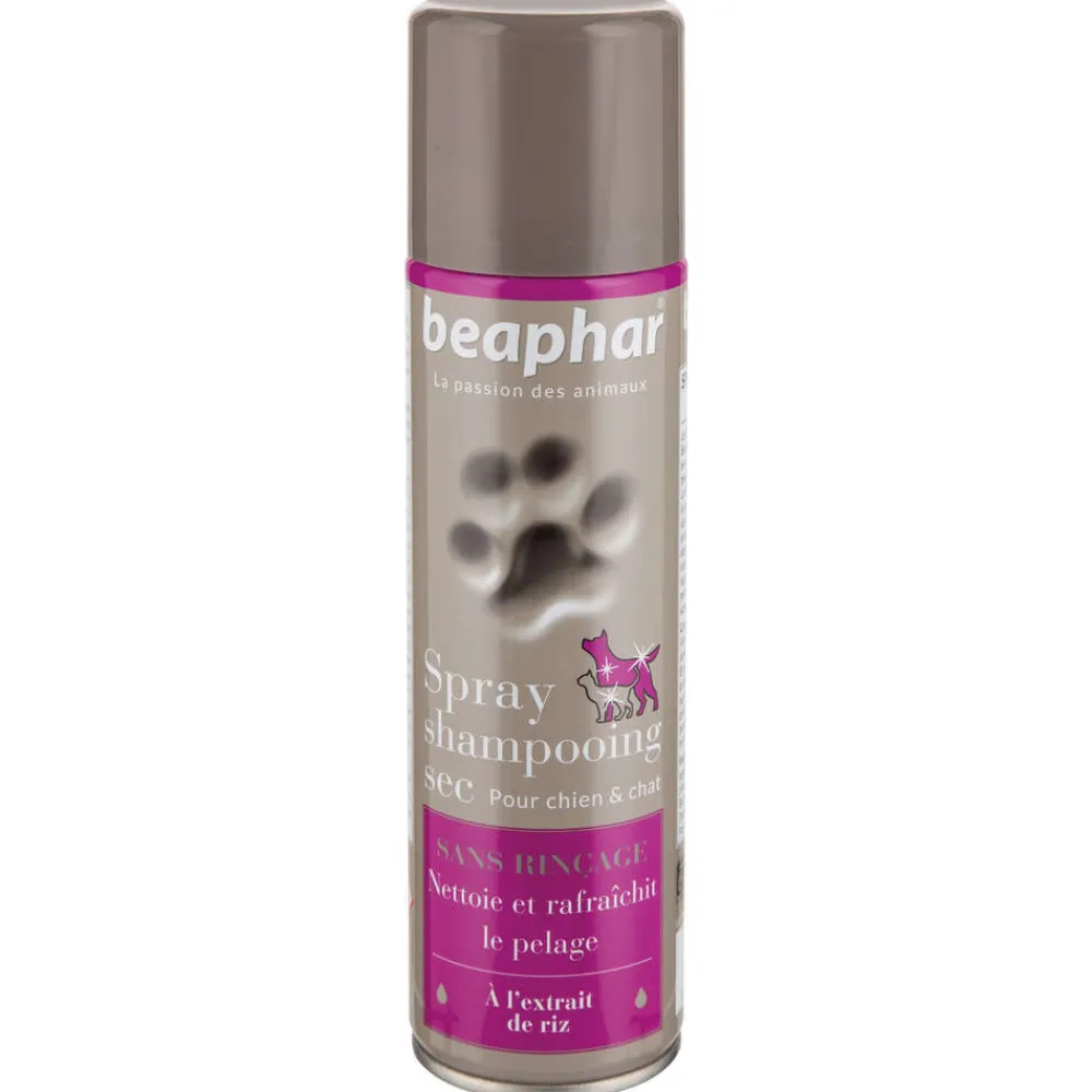 Beaphar - Spray Shampooing sec sans rinçage, extrait de riz pour chien : 250 ml Hot