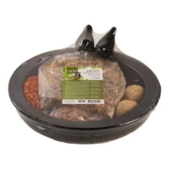 Best For Birds - Kit complet bain/mangeoire pour oiseaux avec nourriture d'hiver Discount