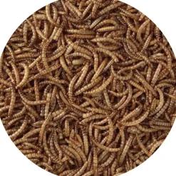 Best For Birds - Vers de farine séchés 125 gr Hot