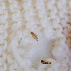 Biotop Traitement Et Pulvérisation | - Trichogrammes anti-mites des vêtements - 4 diffuseurs