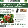 NA Capnode du pecher - 5 millions Nématodes (SC) Clearance