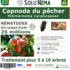 NA Capnode du pecher - 25 millions nématodes (sc) Discount