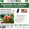 NA Capnode du pecher - 250 millions nématodes (sc) Discount