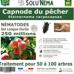 NA Capnode du pecher - 250 millions nématodes (sc) Discount