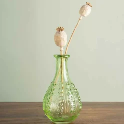 Chehoma Vases Et Coupes | - Vase liseron vert verre15x9x9cm