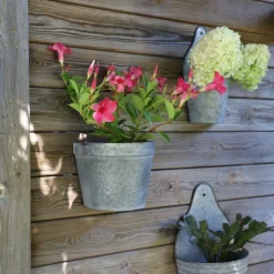 Chemin De Campagne - Set2 jardinière extérieure murale porte fer forgé vintage gris 21-24cm Best