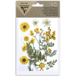 Clairefontaine Décoration Créative | - Pochette de 12 fleurs pressées séchées, assortiment jaune, 13x20,5cm